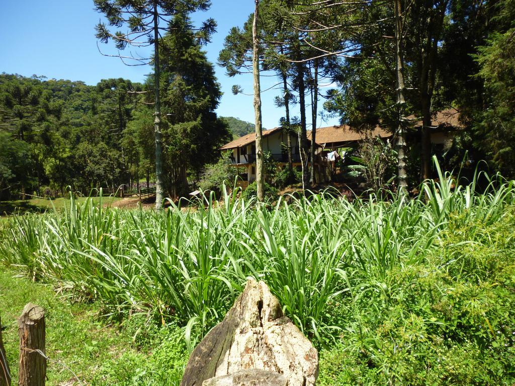 Apartamento Ferias Fazenda Usina 1 ボカイーナ・デ・ミナス エクステリア 写真