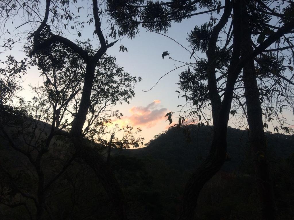 Apartamento Ferias Fazenda Usina 1 ボカイーナ・デ・ミナス エクステリア 写真