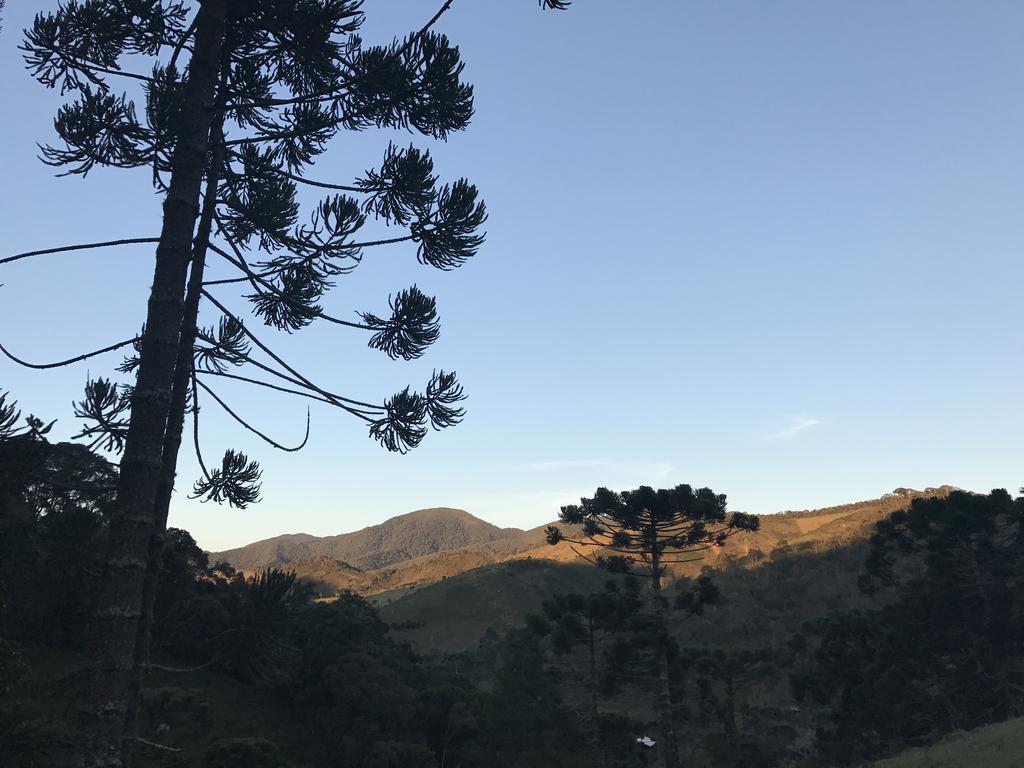 Apartamento Ferias Fazenda Usina 1 ボカイーナ・デ・ミナス エクステリア 写真
