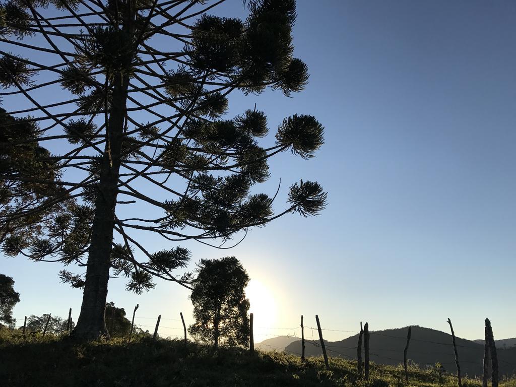 Apartamento Ferias Fazenda Usina 1 ボカイーナ・デ・ミナス エクステリア 写真