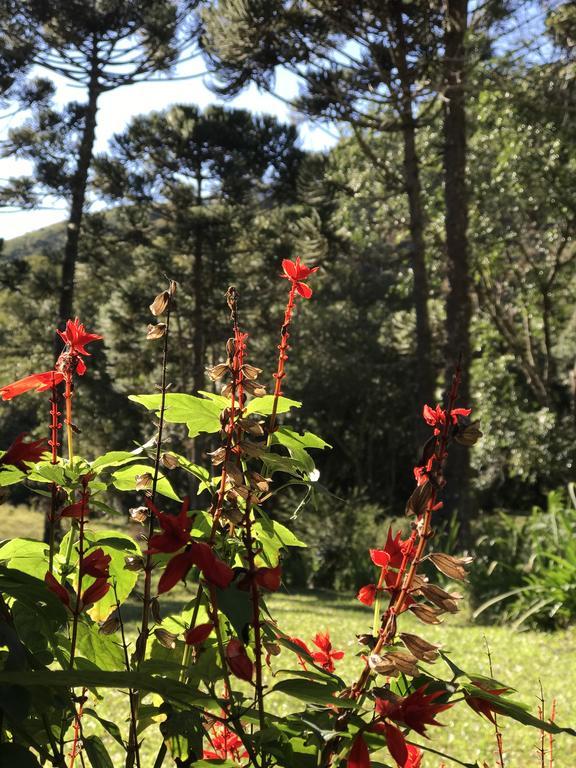 Apartamento Ferias Fazenda Usina 1 ボカイーナ・デ・ミナス エクステリア 写真