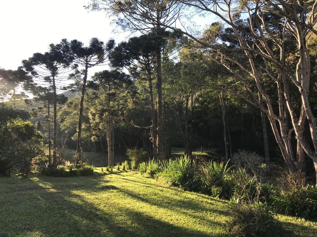 Apartamento Ferias Fazenda Usina 1 ボカイーナ・デ・ミナス エクステリア 写真