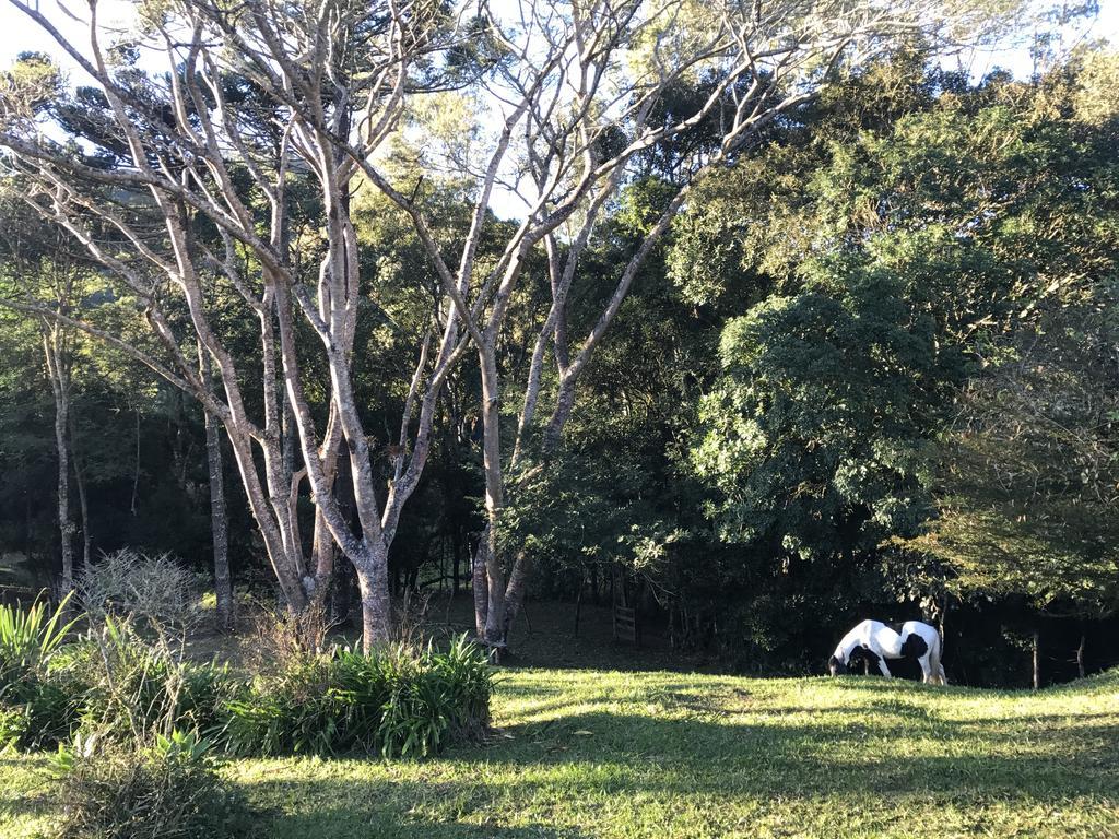 Apartamento Ferias Fazenda Usina 1 ボカイーナ・デ・ミナス エクステリア 写真