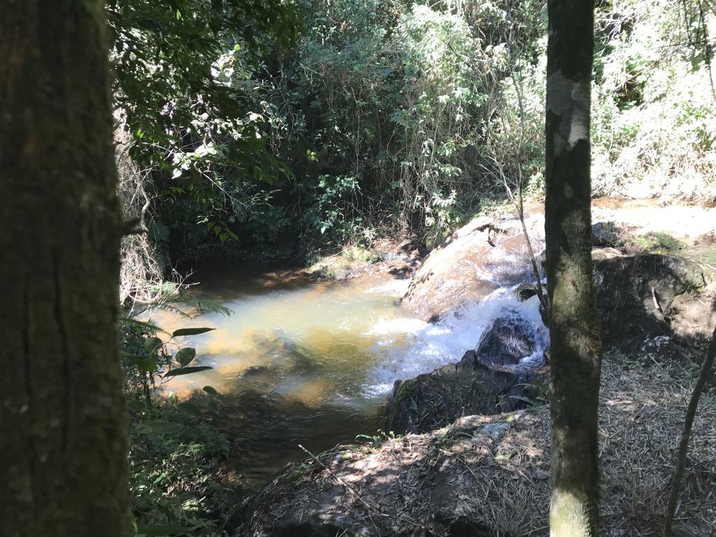 Apartamento Ferias Fazenda Usina 1 ボカイーナ・デ・ミナス エクステリア 写真